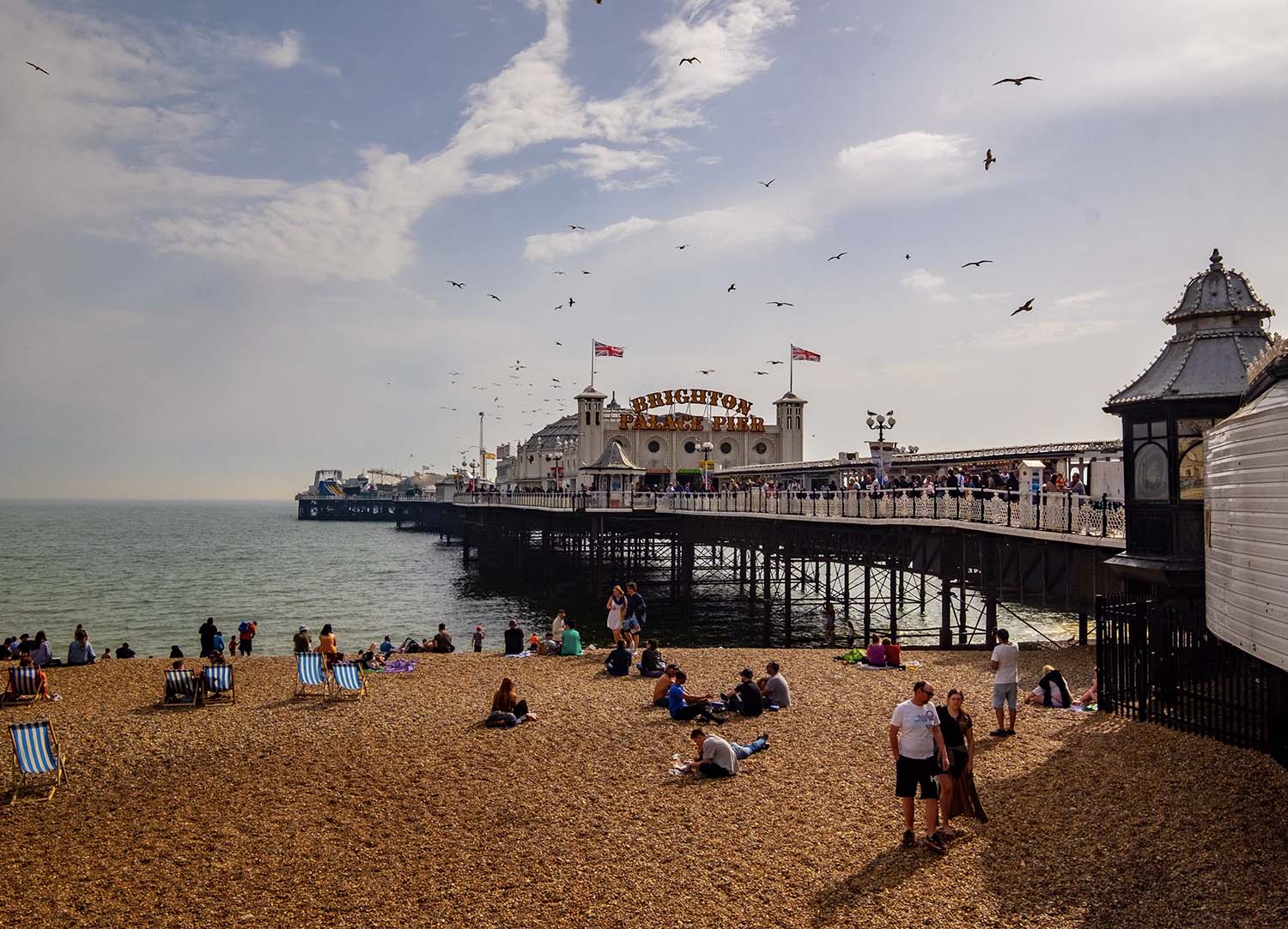 become a representative brighton copy-2